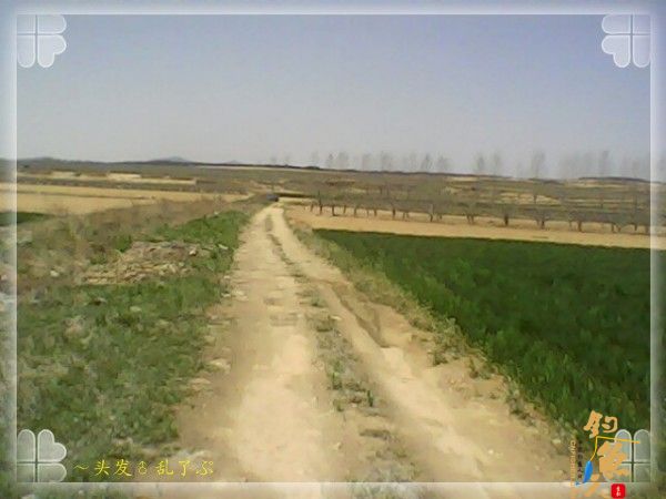 火速回家，抄起家伙就走人，开始了又一次的悲剧演出