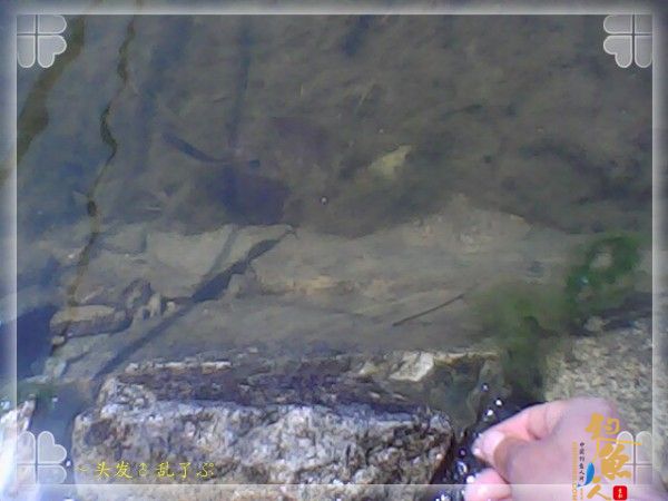 到快一点的时候，放生所有收获！三条