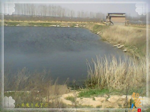 ［原创］再探小塘，依然光光