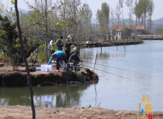 一帮弟兄将在凌晨三点到门楼水库抢占钓位去。佩服！确实疯狂，