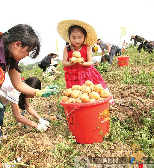 休闲农家乐“五一” 捡了土豆再钓鱼