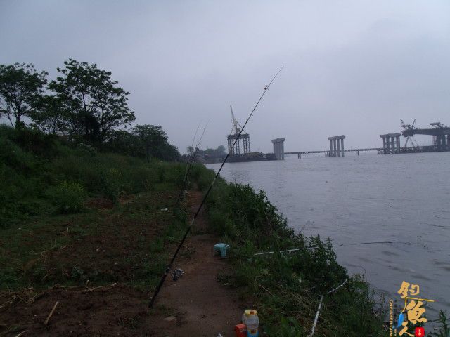 五一节 4月30日 小钩细线擒野鲤