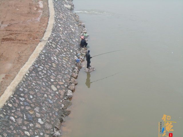 五一节 4月30日 小钩细线擒野鲤