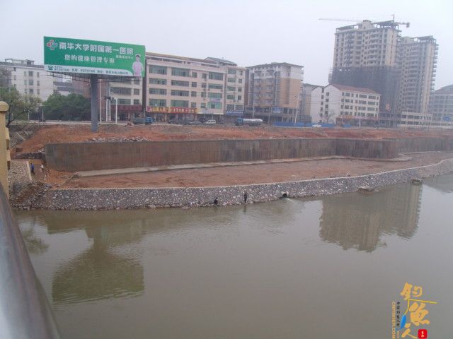 五一节 4月30日 小钩细线擒野鲤