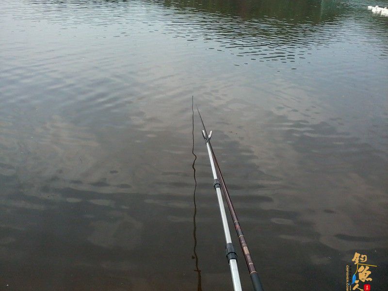 钓位(到达的时候一位钓友说这里这几天都有搞