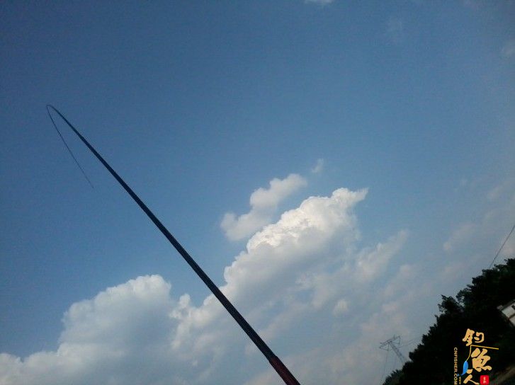 就在我为鲫鱼大开口高兴的时候,遇到了停口现象。经常在水库钓鱼的人都知道将要发生些什么了。果然,请看