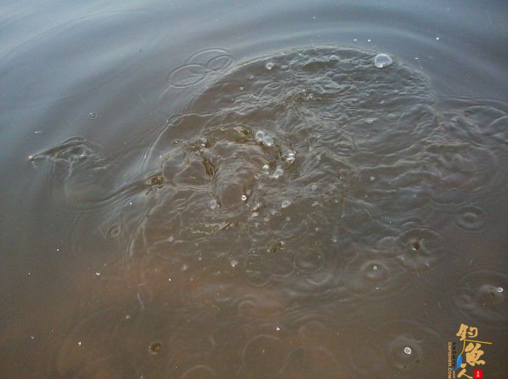 好大的波浪,今天我心情好,慢慢和它玩玩