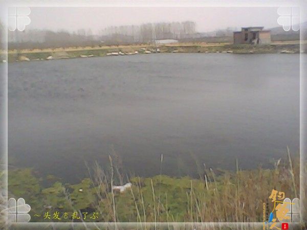 到达钓点,果断往西南角走去:别鱼木钓着,还遭个血罪