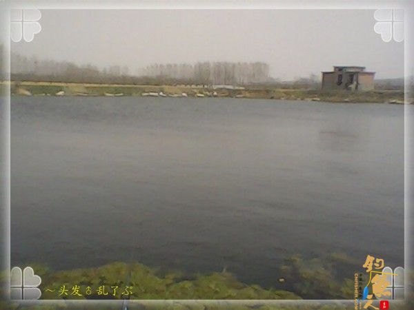 偶尔的风平浪静,会使我略感烦躁的心情清凉许多