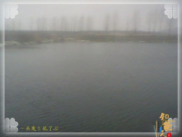 受不了无鱼问津的时光,转移到第一次来时的钓位