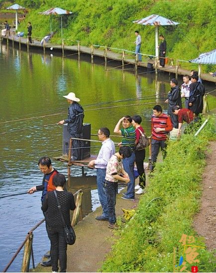 东阳六石街道机关工会组织机关干部、职工举办垂钓比赛 图