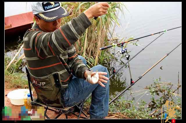 自制秋小麦钓鲫鱼饵料配方 【原创】