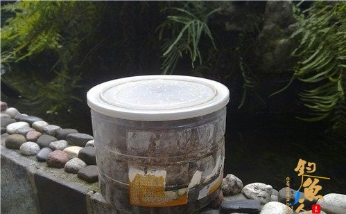 钓黄颡和鲶鱼的好鱼饵-极品蚯蚓饲养过程