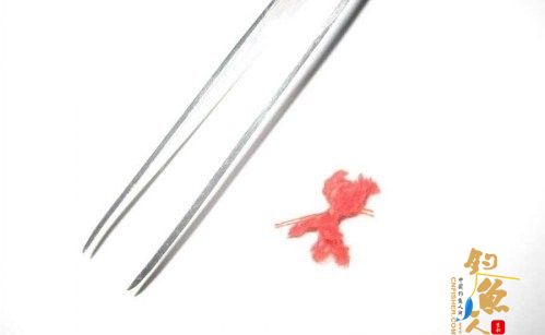 最实用绑红虫的技巧 绑全程图文介绍