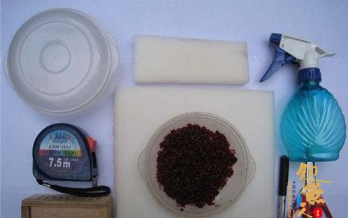 冬季钓鱼红虫钓饵如何保存?图解