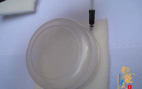 冬季钓鱼红虫钓饵如何保存?图解