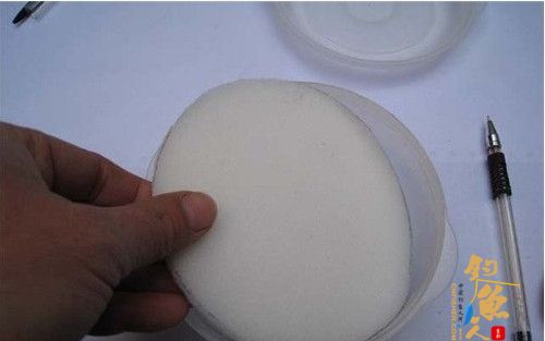 冬季钓鱼红虫钓饵如何保存?图解