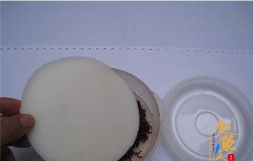 冬季钓鱼红虫钓饵如何保存?图解