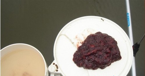 红虫拉饵的配制和使用方法