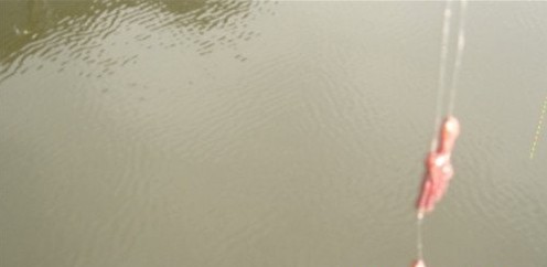 红虫拉饵的配制和使用方法