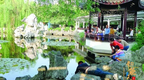 苏州彩香公园景观塘成钓鱼场