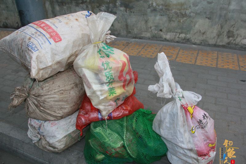 一位清洁工在垃圾房中的生活 --记绵阳市一位无工资无住所无人管的残疾人