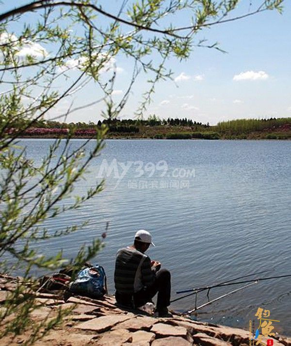 春暖花开松花江边享受垂钓之乐