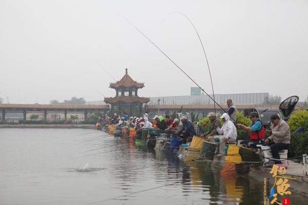 北京市“碧波杯”残疾人钓鱼比赛顺利举行 比赛图片