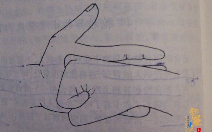 一手握拳，另一手抓住拳头