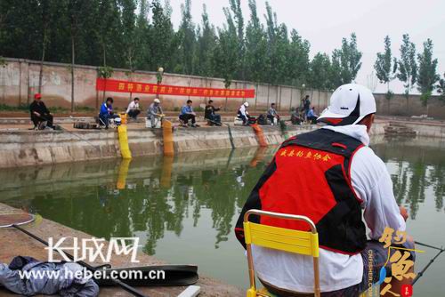 参赛者专心比赛 威县举办“亲近自然、休闲竞技”主题钓鱼比赛