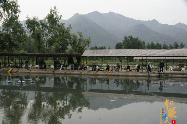 西电离退休工作处举办春季钓鱼比赛 图