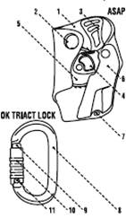 ASAP止坠器在户外拓展训练中的应用