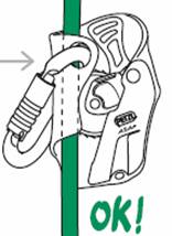 ASAP止坠器在户外拓展训练中的应用