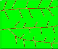 溪流水系分类 羽毛状水系