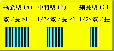 瀑布型态瀑身型态分类表