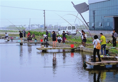 城里人乡下钓鱼乐趣多