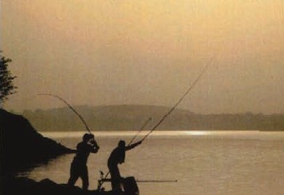 夏季夜钓调漂钓位选择及配饵技巧