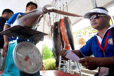 马来西亚沙巴州举行国际钓鱼锦标赛