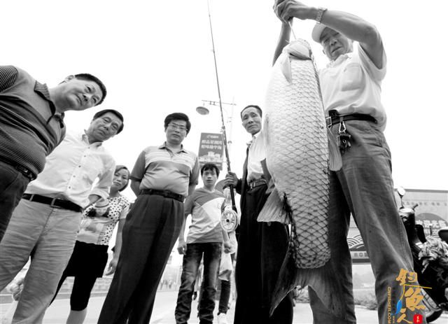 宜昌小溪塔黄柏河 张师傅不用鱼饵钓起一米大鱼 图