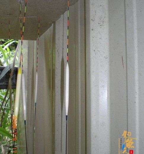 钓鱼人跟我一起自制孔雀羽浮漂(下) 上色完成