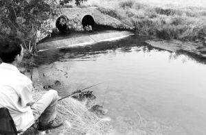 图为钓鱼爱好者在排污口垂钓 记者 雷沛 摄