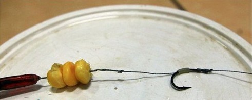 自制(专钓大鱼)新式挂玉米粒的钩组 3