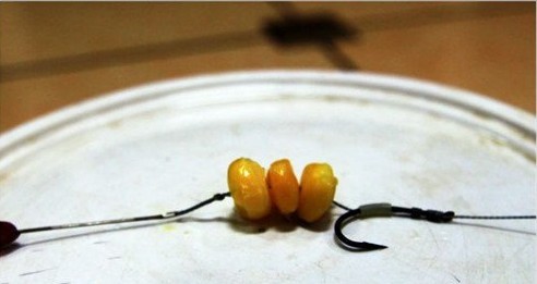 自制(专钓大鱼)新式挂玉米粒的钩组 4