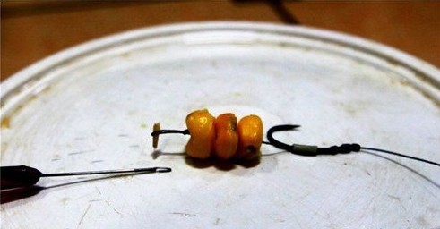 自制(专钓大鱼)新式挂玉米粒的钩组 5
