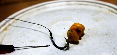自制(专钓大鱼)新式挂玉米粒的钩组 6