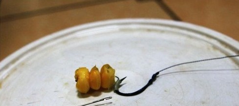 自制(专钓大鱼)新式挂玉米粒的钩组 7