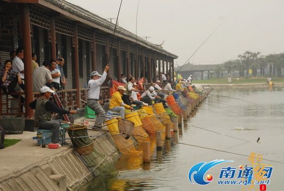 第十一届江苏省“铁人杯”钓鱼高手大赛,6月9日收杆 图1 比赛现场