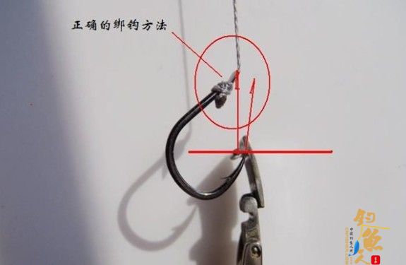 钩尖向内弯的伊势尼型钩子 2