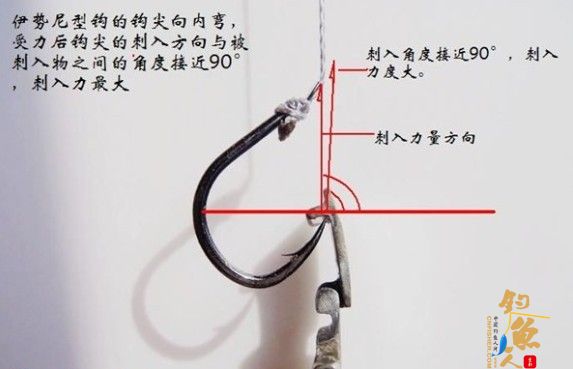 大钩钓大鱼时,鱼钩的绑法 图 钩尖向内弯的伊势尼型钩子