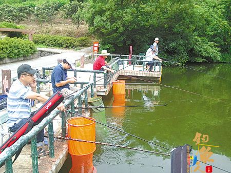 宁波市企业／企业家文化节钓鱼大赛举行 图